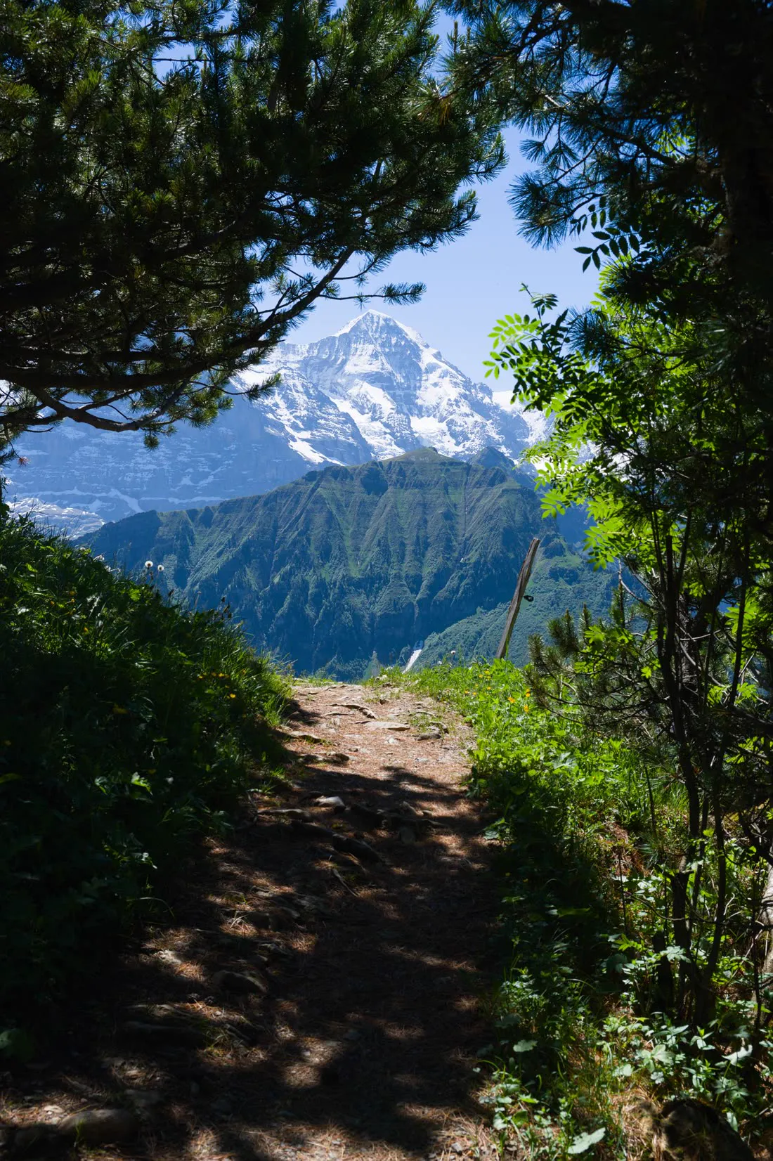 Randonnée dans les Alpes
